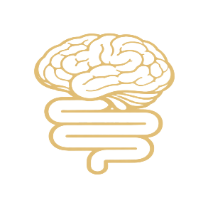 Disorders of gut-brain interaction Tool
